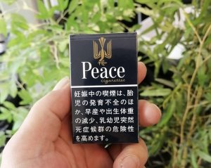 和平(日本无嘴输出版)